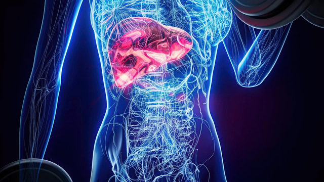 Các bệnh về gan: Nguyên nhân, dấu hiệu và biện pháp bảo vệ sức khỏe