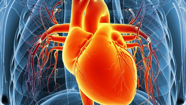 Cách chữa rối loạn thần kinh tim: Giải pháp an toàn và hiệu quả hiện nay