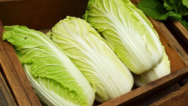 Cải thảo ăn sống được không? Giá trị dinh dưỡng của cải thảo