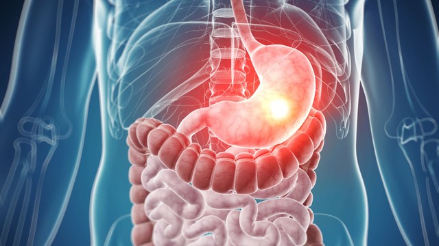 Cấu tạo của dạ dày và những bệnh lý dạ dày thường gặp