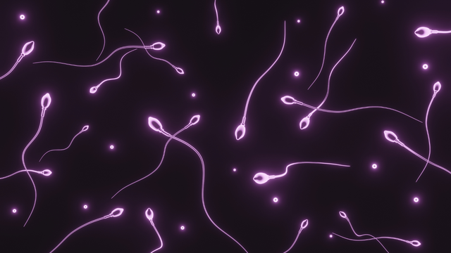 Chất lượng tinh trùng thế nào là khỏe mạnh? Những điều cần biết