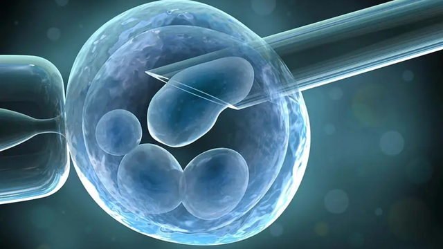 Chi phí chọc hút trứng khoảng bao nhiêu? Các yếu tố ảnh hưởng