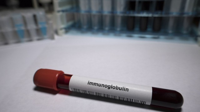 Chỉ số Globulin miễn dịch là gì? Những điều cần biết
