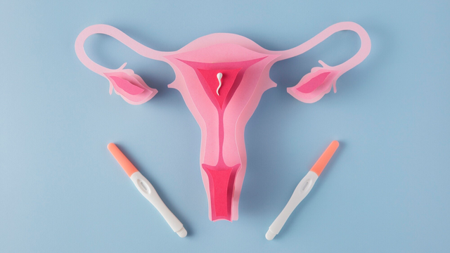 Chiều dài cổ tử cung theo tuần thai bao nhiêu là bình thường?