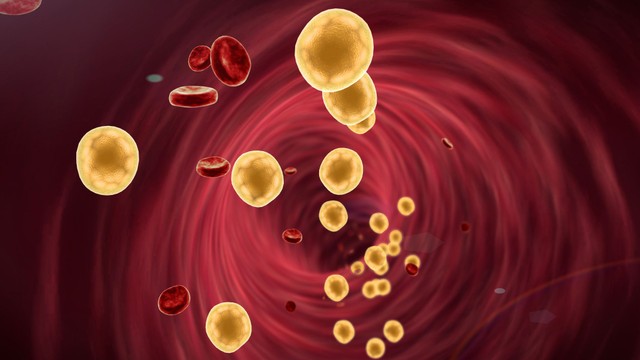 Cholesterol là gì? Cách duy trì cholesterol ổn định
