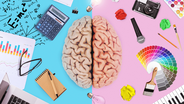 Chức năng của bán cầu não trái và cách giúp não trái hoạt động tốt