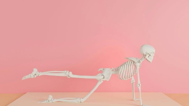 Con người có bao nhiêu cái xương? Cách bảo vệ xương chắc khỏe