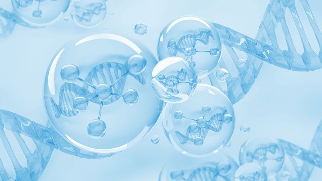 Công nghệ tế bào là gì? Quá trình, ứng dụng và thành tựu nổi bật