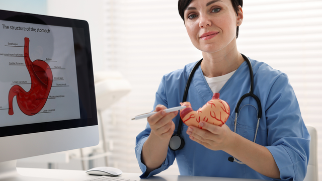 Dạ dày nằm ở đâu? Dấu hiệu cảnh báo các bệnh lý ở dạ dày