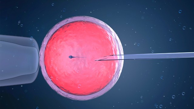 Dấu hiệu bơm IUI thành công sau 5 ngày là gì? Khi nào là bất thường?