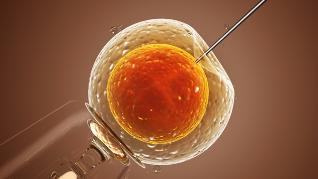 Dấu hiệu IUI thành công sau 10 ngày: Nhận biết sớm, tránh lo lắng!