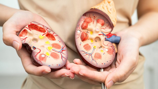 Dấu hiệu suy thận giai đoạn cuối: Nhận biết sớm để bảo vệ tính mạng người bệnh