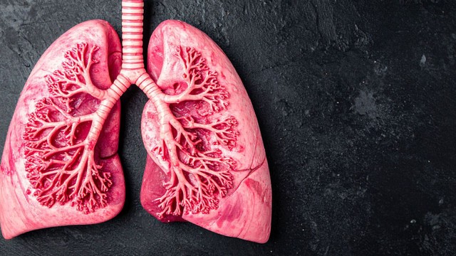 Dày thành phế quản là gì? Nguyên nhân, triệu chứng và cách kiểm soát