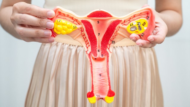 Dị dạng tử cung: Dấu hiệu nhận biết và hướng xử lý an toàn