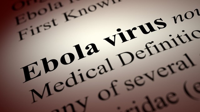 Dịch bệnh Ebola: Triệu chứng, nguyên nhân và cách phòng tránh hiệu quả