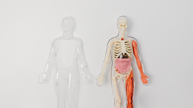 Độ pH trong cơ thể người là bao nhiêu và ảnh hưởng đến sức khỏe như thế nào?