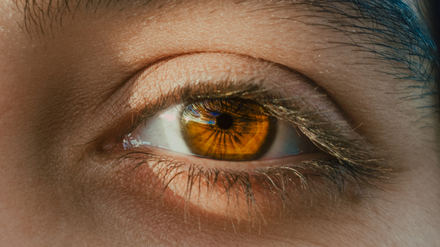 Đồng tử: Giải phẫu, chức năng và những bệnh lý thường gặp