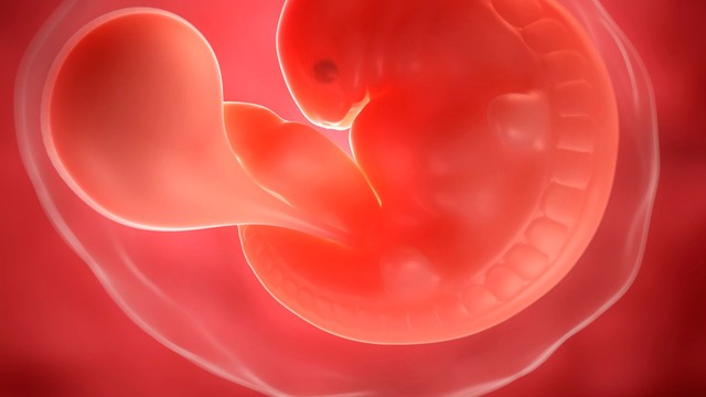 Dư ối là gì? Nguyên nhân, dấu hiệu và cách xử lý an toàn cho mẹ bầu