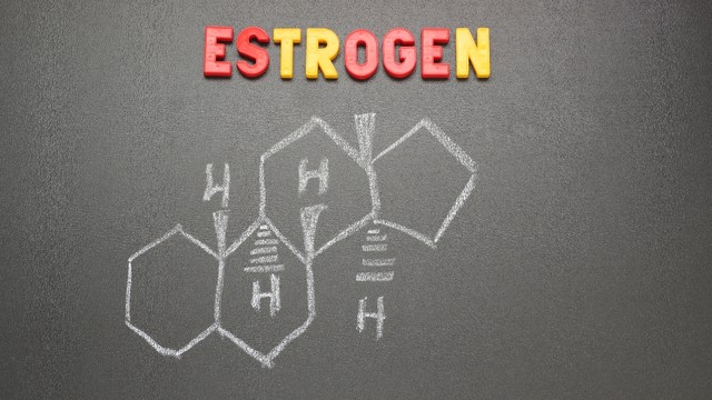 Estrogen là gì? Vai trò và cách cân bằng estrogen an toàn