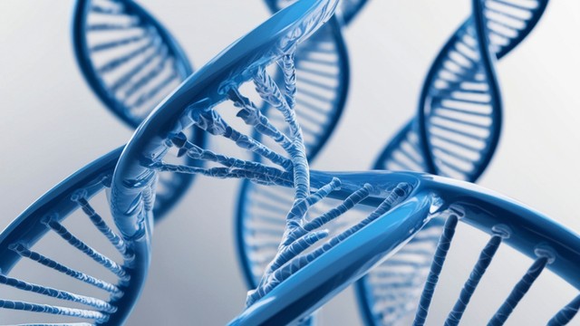 Gen chiếm bao nhiêu phần trăm chiều cao? Làm thế nào để phát triển chiều cao tối ưu?