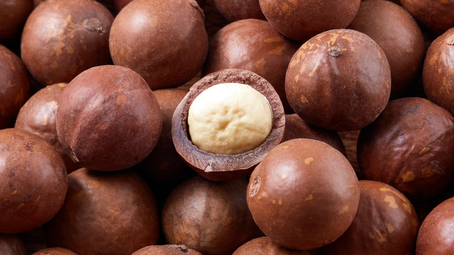 Hạt macca có tác dụng gì? 14 lợi ích cho sức khỏe bạn nên biết