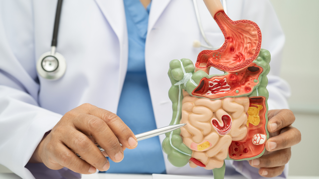 Hình ảnh viêm dạ dày cấp qua nội soi: Đặc điểm và mức độ nguy hiểm