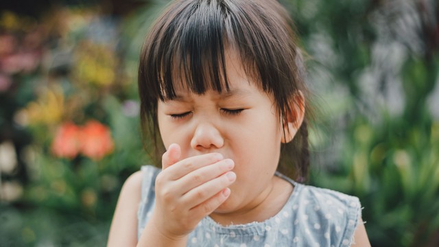 Ho gà và viêm màng não mô cầu: Hiểu đúng để phòng ngừa hiệu quả