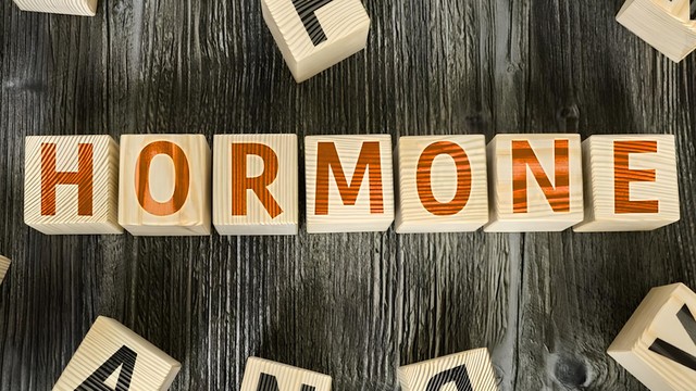 Hormone là gì? Các loại hormone trong cơ thể người