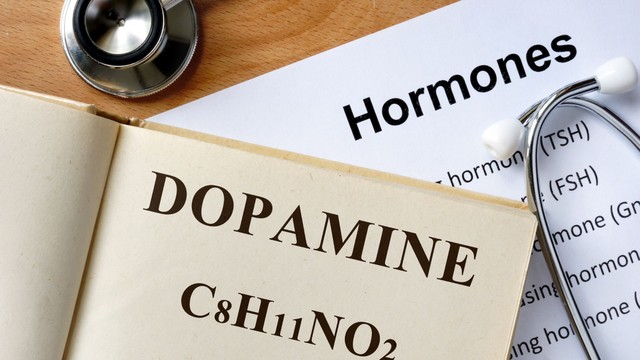 Hormone Dopamine là gì? Vai trò của Dopamine trong cơ thể