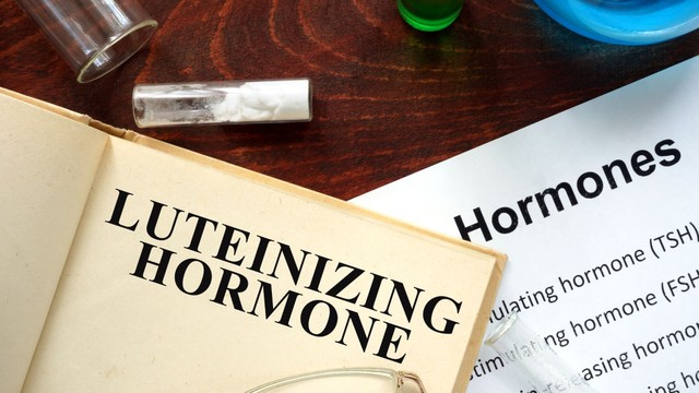 Hormone LH là gì? Những thông tin cần biết