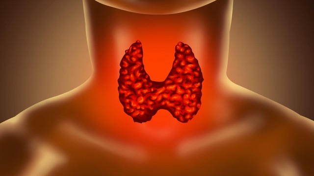 Hormone tuyến giáp là gì? Vai trò của hormone tuyến giáp