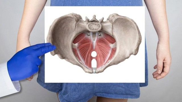 Khám sàn chậu sau sinh là gì? Khi nào mẹ nên khám sàn chậu để phòng ngừa biến chứng
