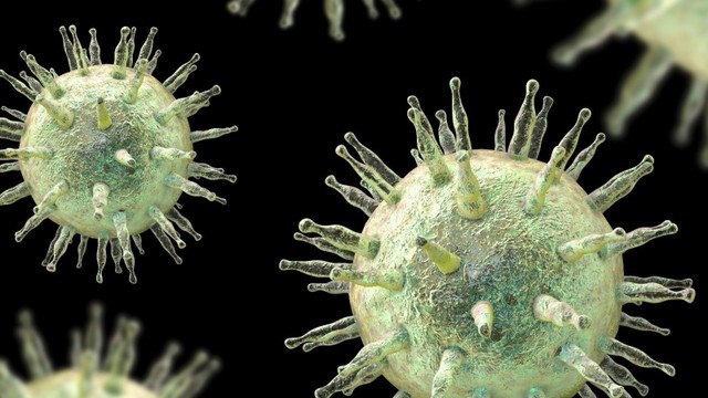 Kháng thể EBV là gì? Khi nào cần xét nghiệm EBV?