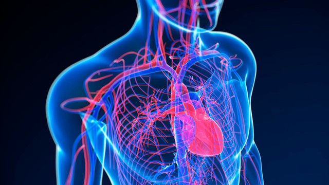 Khí tĩnh mạch cửa là gì? Nguyên nhân, mức độ nguy hiểm và hướng xử trí