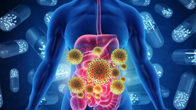 Ký sinh trùng đường ruột là gì? Cách phòng ngừa hiệu quả