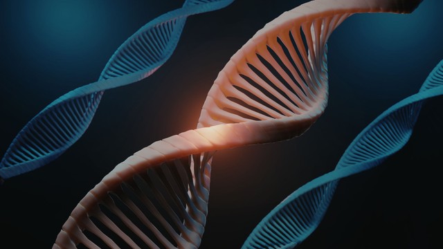 Mã di truyền là gì? Vai trò của mã di truyền trong duy trì sự sống