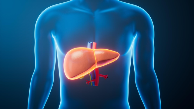 Men gan là gì? Nguyên nhân, dấu hiệu và cách kiểm soát an toàn