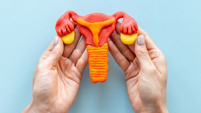 Nang Naboth cổ tử cung là gì? Những điều cần biết về nang Naboth cổ tử cung