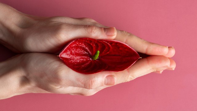 Nang âm hộ là gì? Nguyên nhân và yếu tố nguy cơ mắc phải nang âm hộ