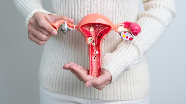 Nang đơn thùy buồng trứng là gì? Dấu hiệu, nguyên nhân và cách điều trị