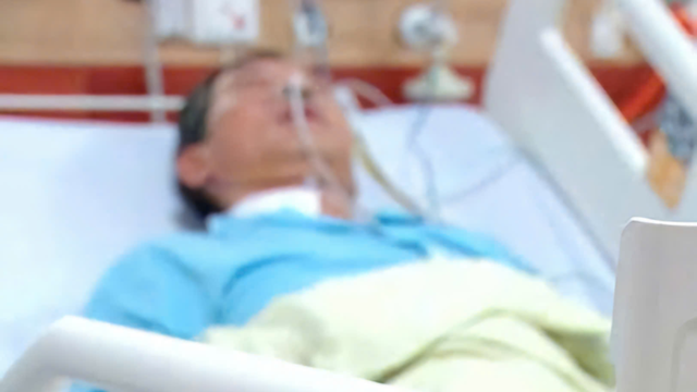 Ngộ độc nặng do ăn hạt của cây củ đậu: Nguy hiểm không nên chủ quan