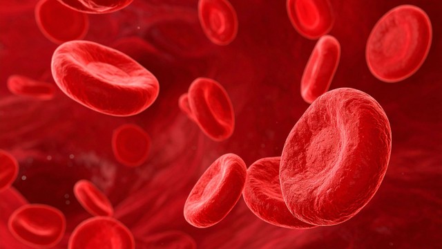 Nguyên nhân bạch cầu tăng tiểu cầu giảm là gì? Những điều cần lưu ý