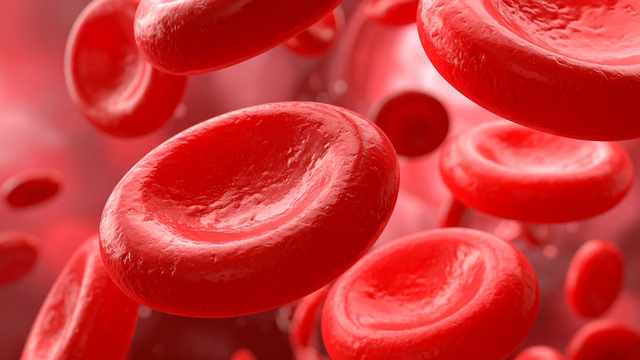 Nguyên nhân gây bệnh và biểu hiện của rối loạn mỡ máu