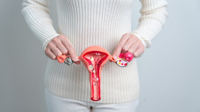Nhân xơ tử cung loại 5 là gì? Dấu hiệu nhận biết và mức độ nguy hiểm
