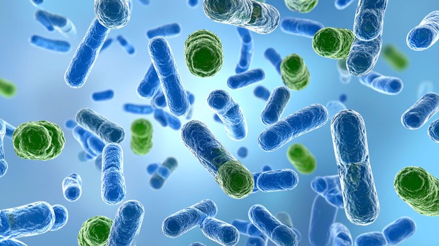 Nhiễm Mycoplasma genitalium là gì? Triệu chứng nhiễm Mycoplasma genitalium ở nam và nữ
