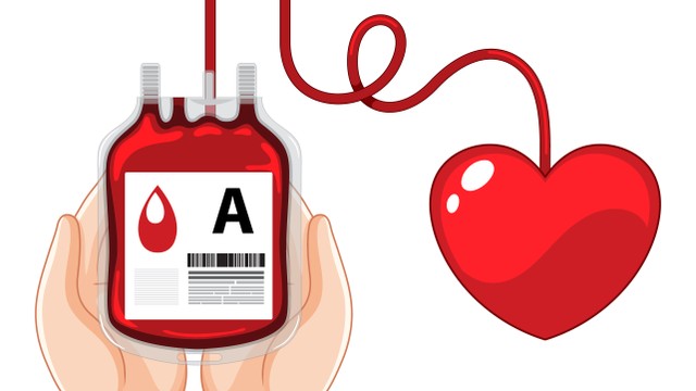 Nhóm máu A nhận được nhóm máu nào? Quy tắc cho nhận cần biết