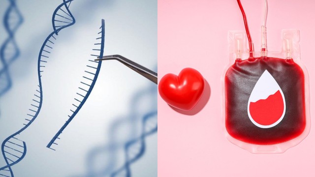 Nhóm máu có di truyền không? Cơ chế di truyền và những hiểu lầm thường gặp