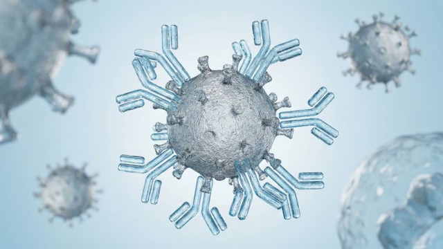 Nhóm máu O có kháng thể gì? Một số điều bạn cần biết trước khi truyền máu