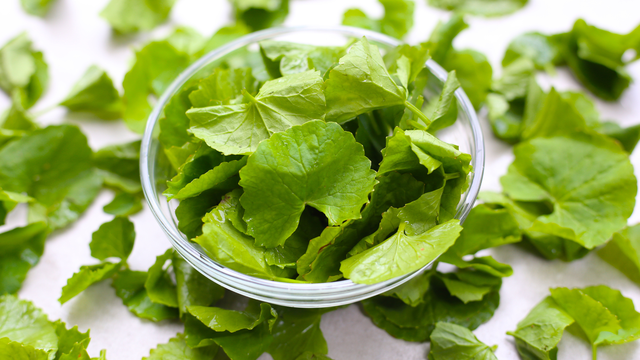 Những ai không nên uống nước rau má? Lưu ý quan trọng