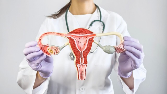 Những cách khắc phục niêm mạc tử cung mỏng mà phụ nữ cần biết?